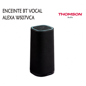 ENCEINTE BLUETOOTH/WIFI AVEC ASSISTANT VOCAL ALEXA WS07VCA